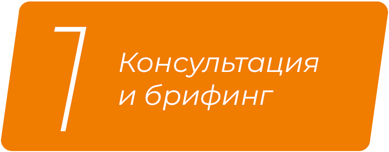 Консультация и брифинг