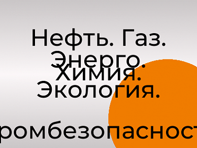 Нефть. Газ. Энерго. Химия. Экология. Промбезопасность